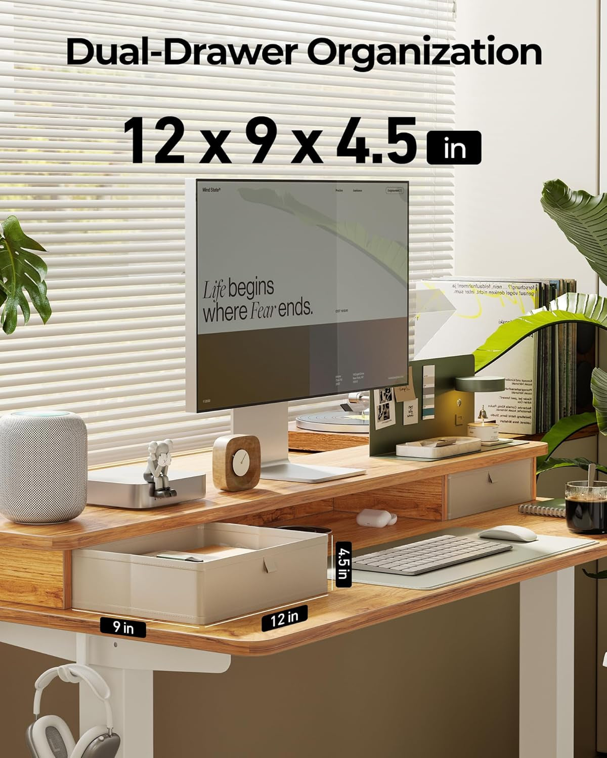 48 X 24 Inch Height Adjustable Electric Standing Desk with Double Drawer, Computer Desk, Home Office Stand up Table with 4 Height-Adjustable Feets & 2 Hooks, Light Rustic